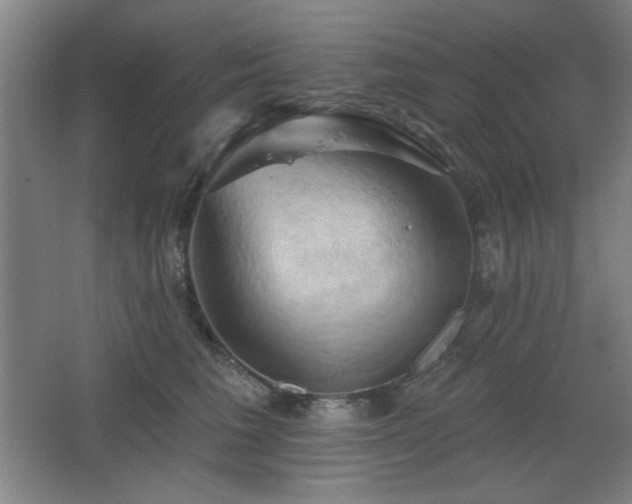 X0000068740613200604281141