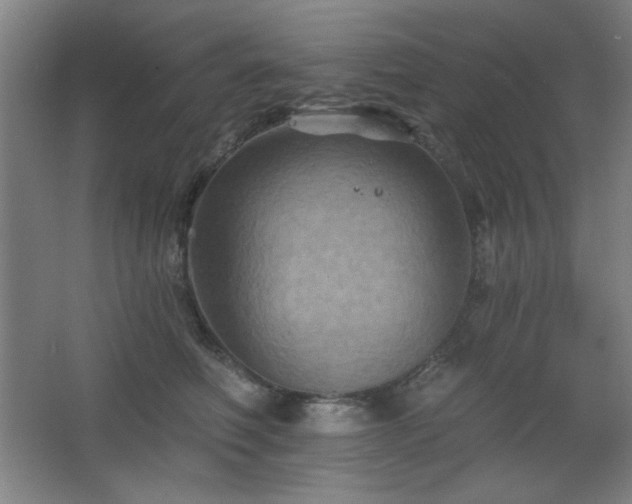 X0000068740614200604281141