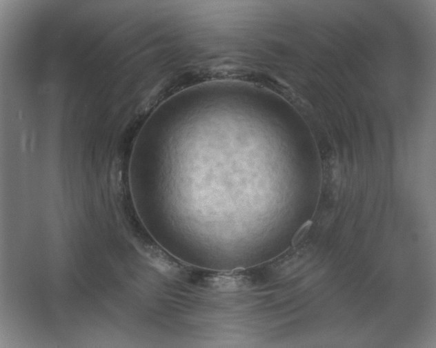 X0000068740615200604281141