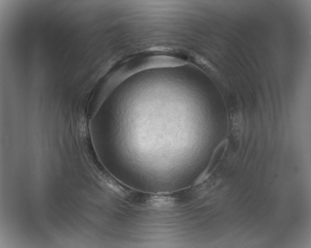 X0000068740617200604281141