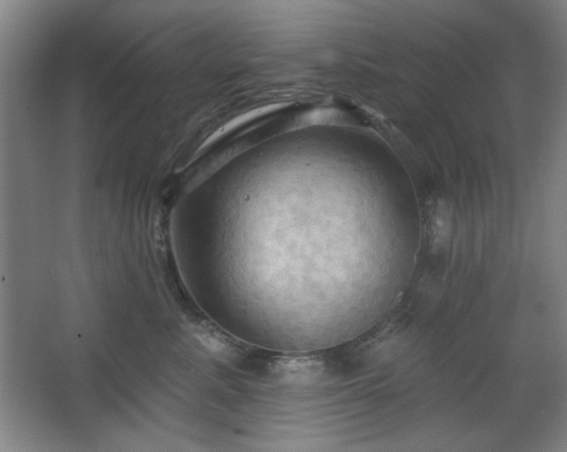 X0000068740619200604281141