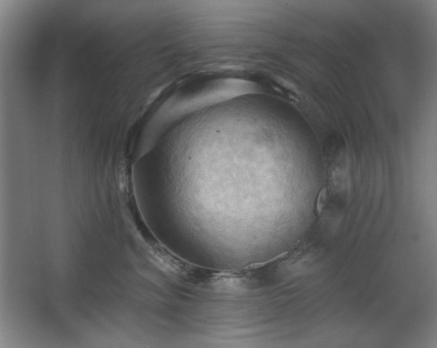 X0000068740620200604281141