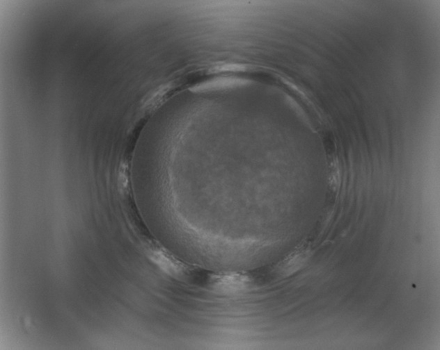 X0000068740621200604281141