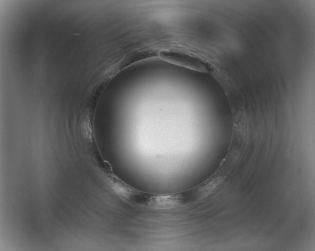 X0000068740622200604281141