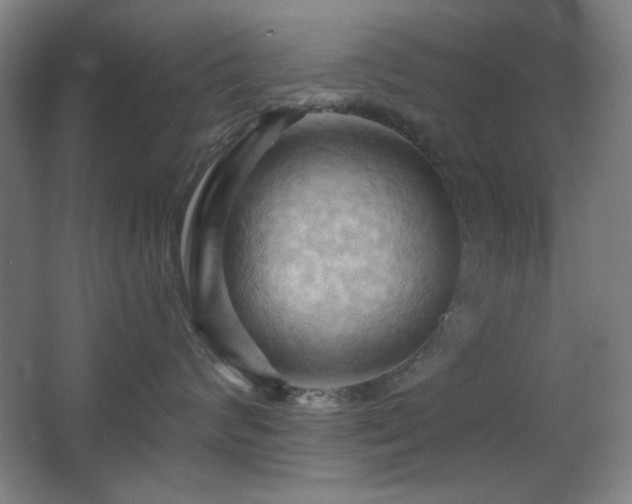 X0000068740624200604281141