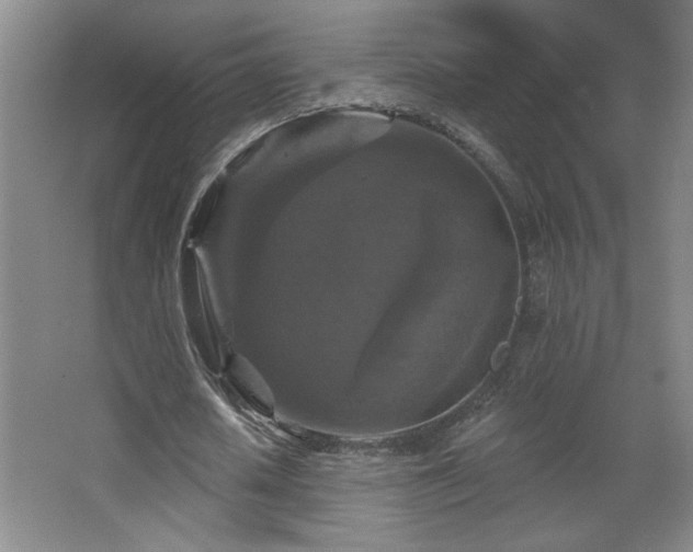 X0000068740626200604281140