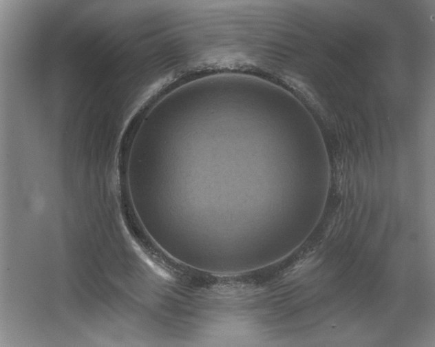 X0000068740630200604281140