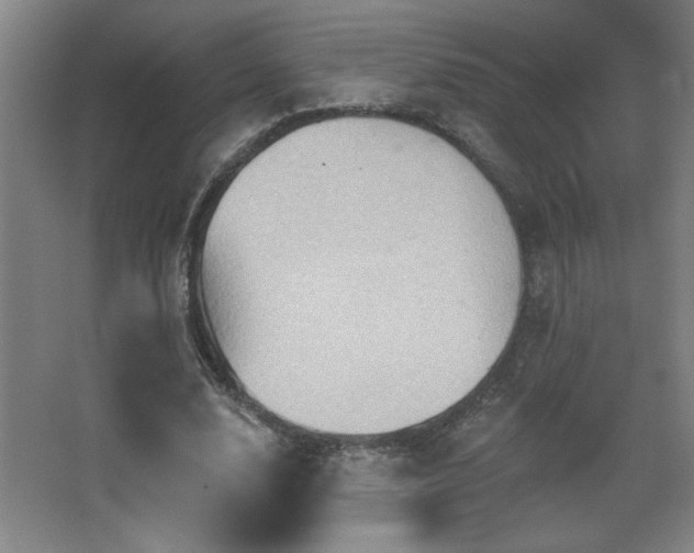 X0000068740632200604281140