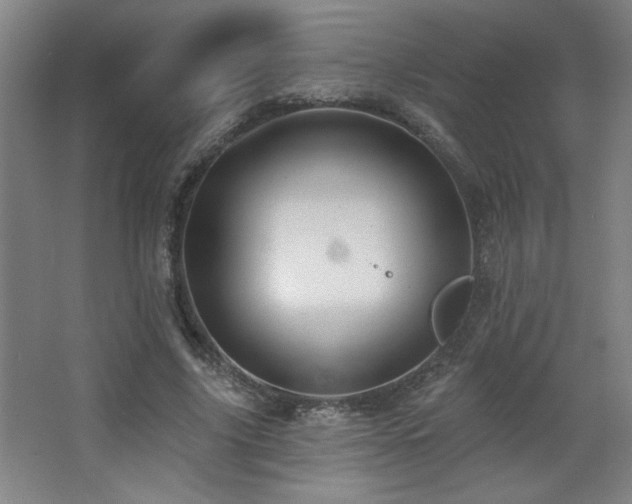 X0000068740635200604281140