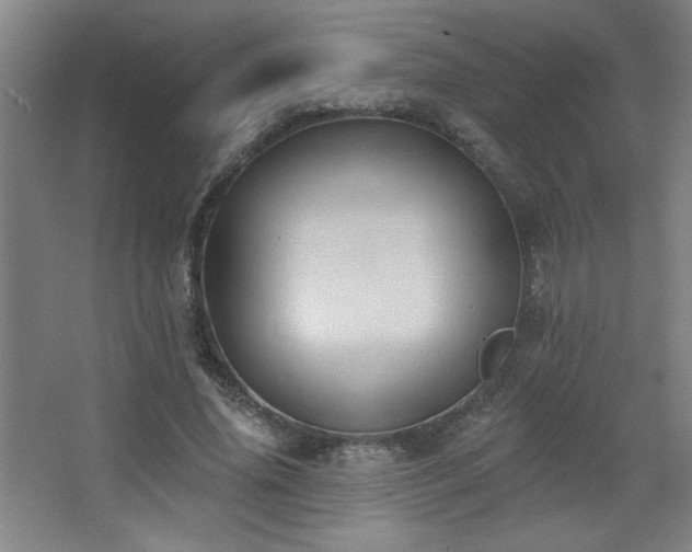 X0000068740636200604281140