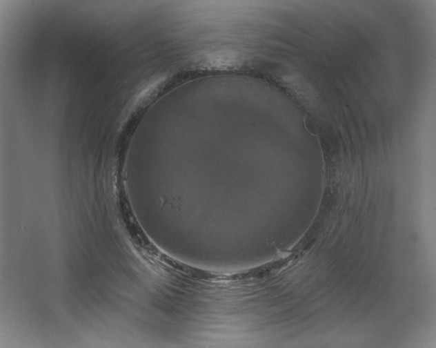 X0000068740640200604281140