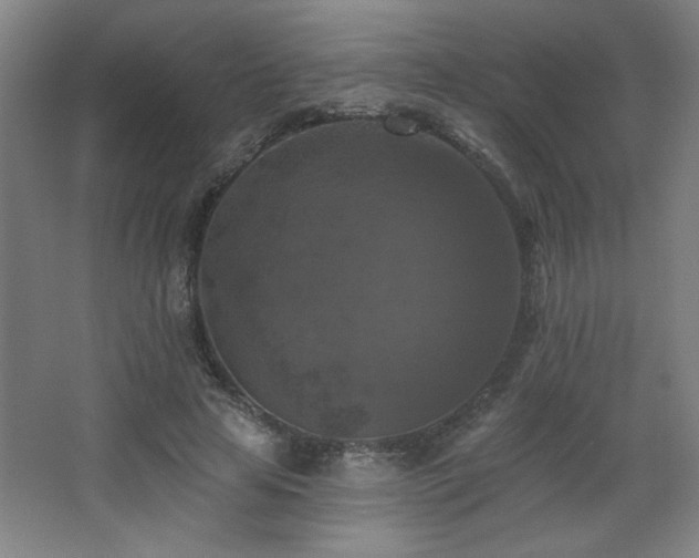 X0000068740641200604281140