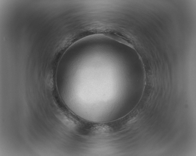 X0000068740642200604281140