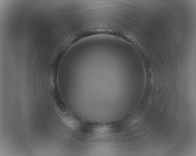 X0000068740643200604281140