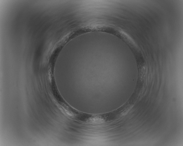 X0000068740644200604281140