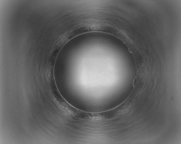 X0000068740645200604281140