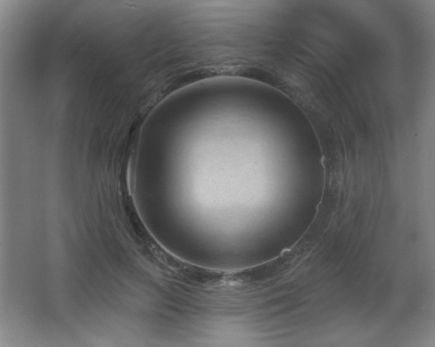 X0000068740647200604281141