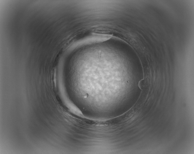 X0000068740649200604281141