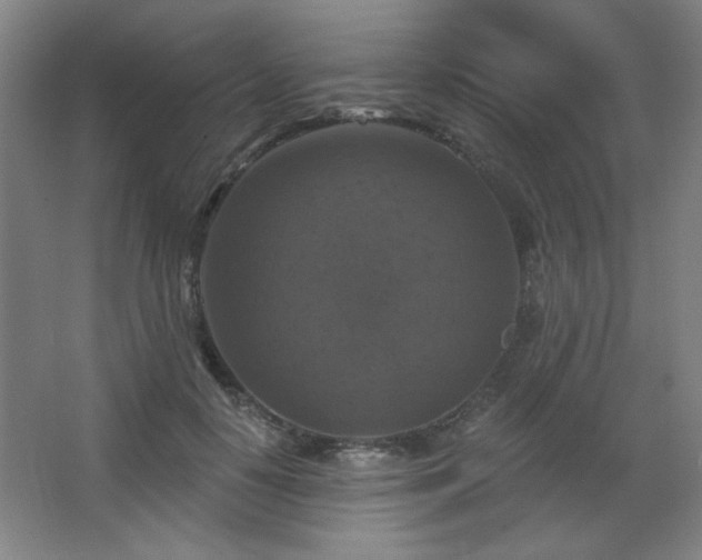 X0000068740650200604281141