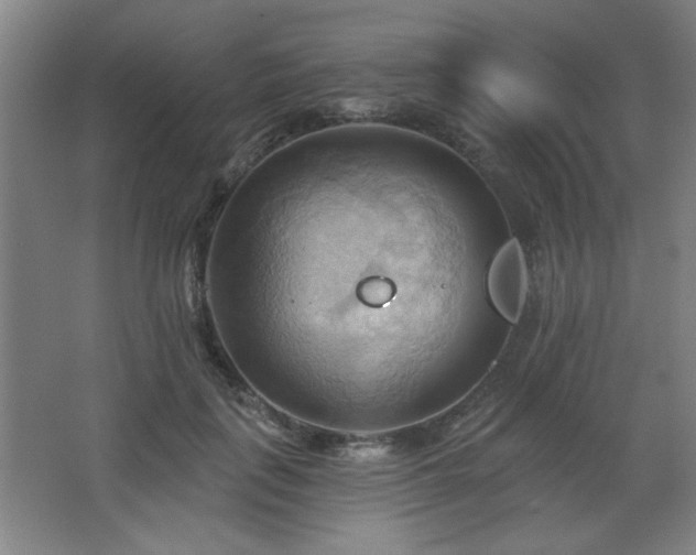 X0000068740651200604281141