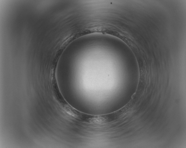 X0000068740652200604281141