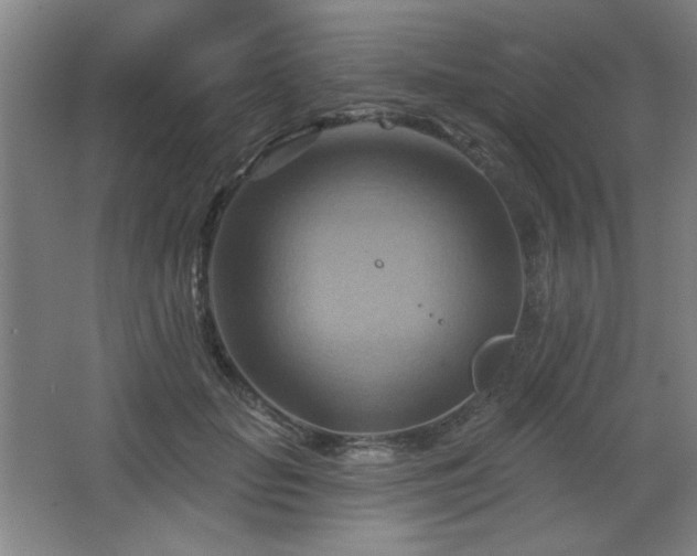 X0000068740653200604281141