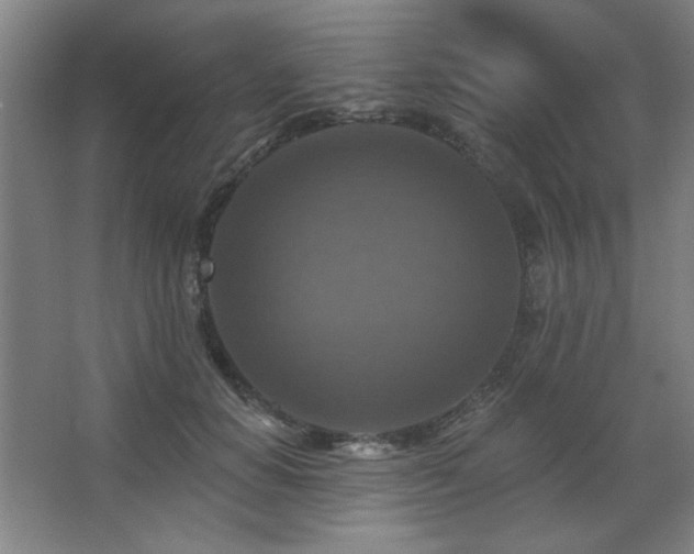 X0000068740654200604281141