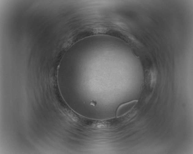 X0000068740655200604281141