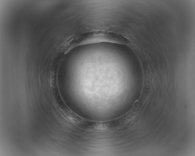 X0000068740656200604281141