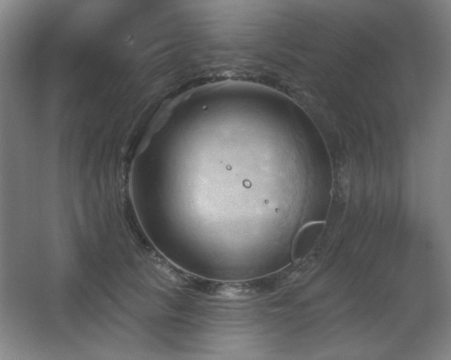 X0000068740657200604281141