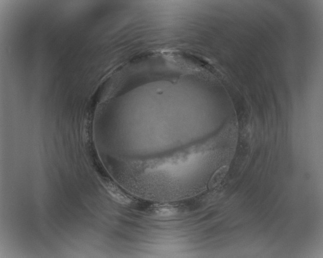 X0000068740658200604281141