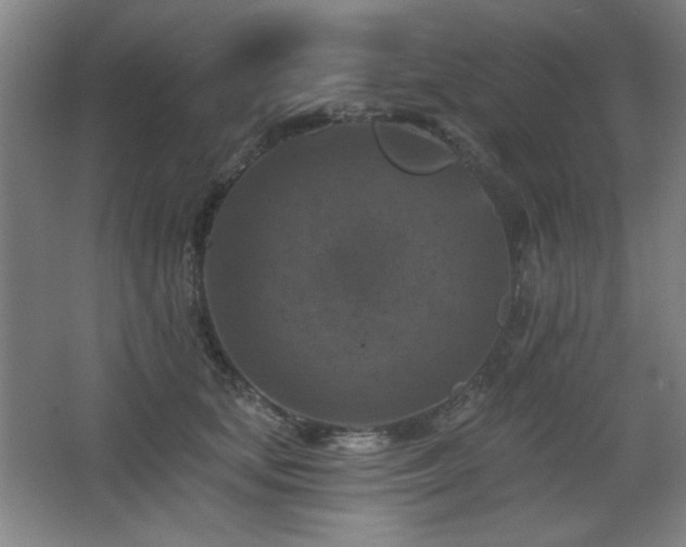 X0000068740659200604281141