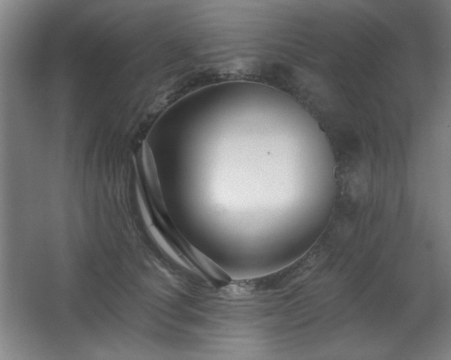 X0000068740660200604281141