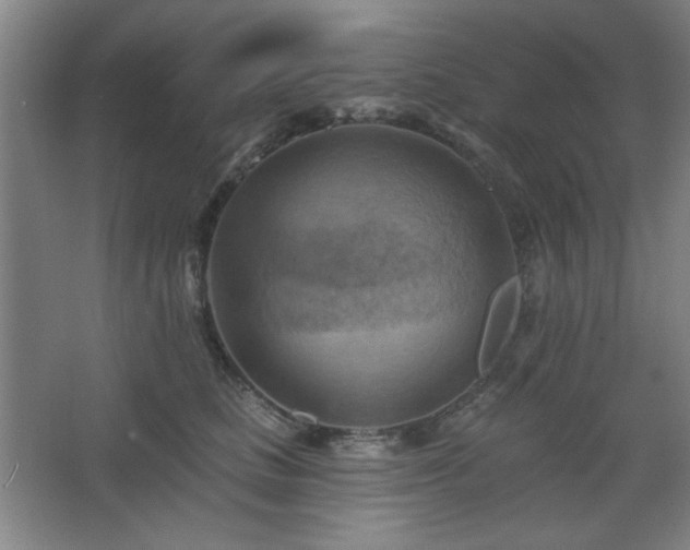 X0000068740661200604281141