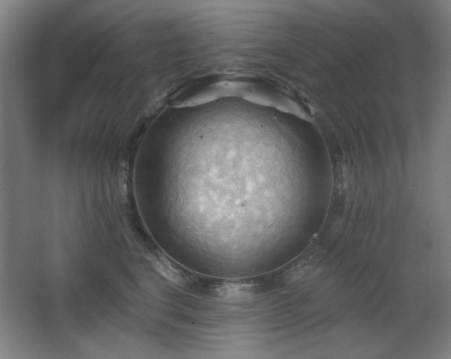 X0000068740664200604281141