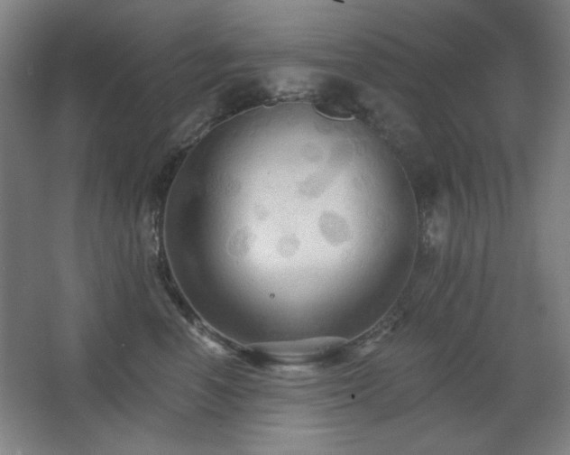 X0000068740666200604281141