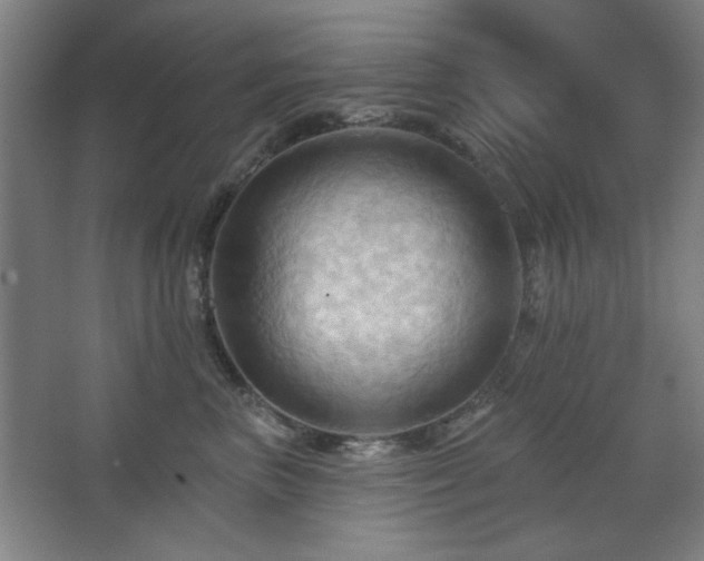 X0000068740667200604281141