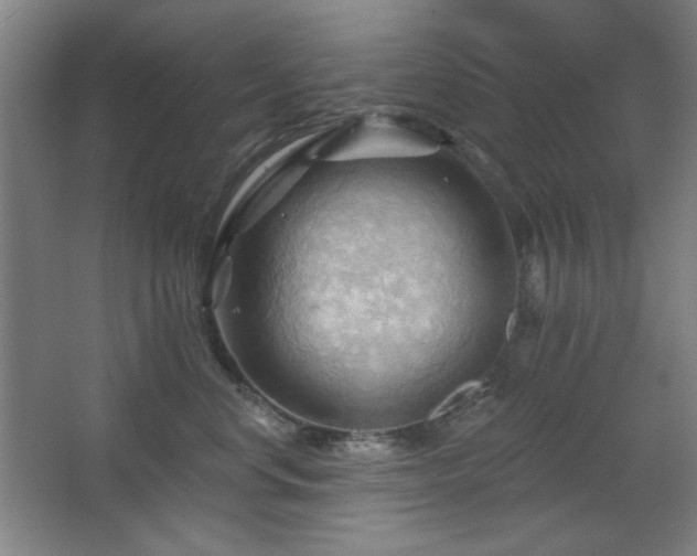 X0000068740668200604281141