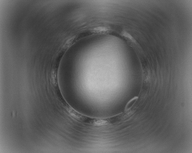 X0000068740669200604281141