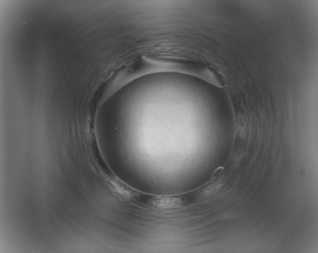 X0000068740670200604281141