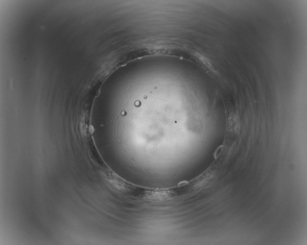 X0000068740671200604281141