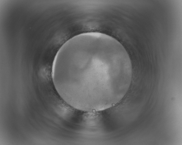 X0000068740672200604281141