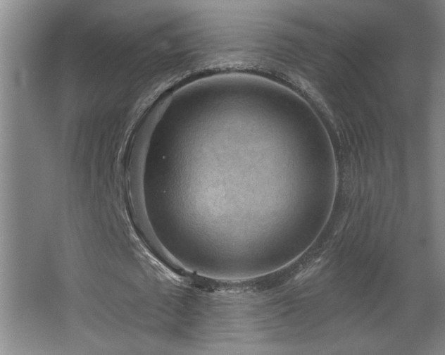 X0000068740673200604281140