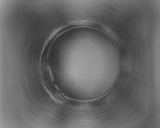 X0000068740674200604281140