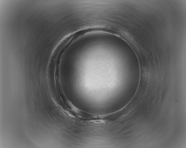 X0000068740676200604281140