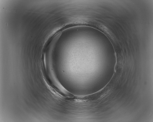 X0000068740677200604281140