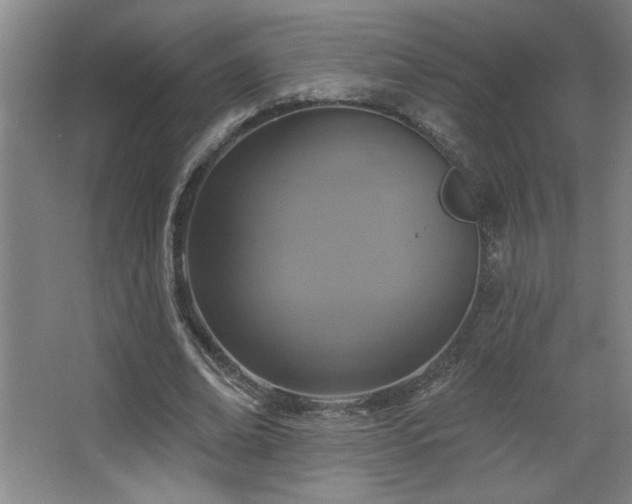 X0000068740678200604281140