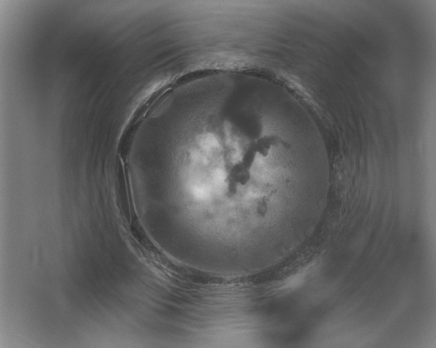 X0000068740679200604281140