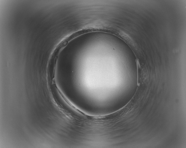 X0000068740680200604281140