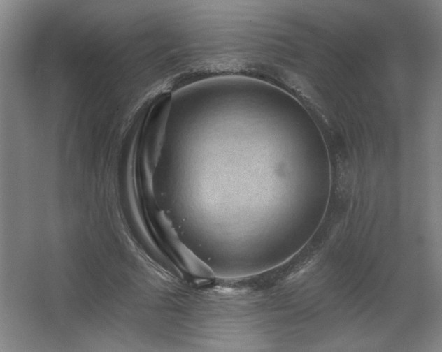 X0000068740681200604281140